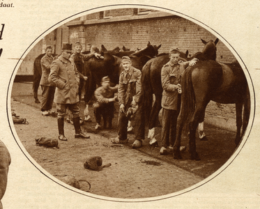 300081 Afbeelding van enkele militairen bij de verzorging van paarden op het terrein van de Kazerne der Veldartillerie ...